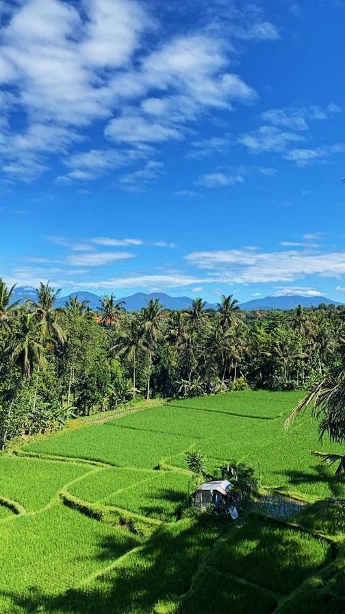 Nirwa Ubud Karma Eksteriør billede