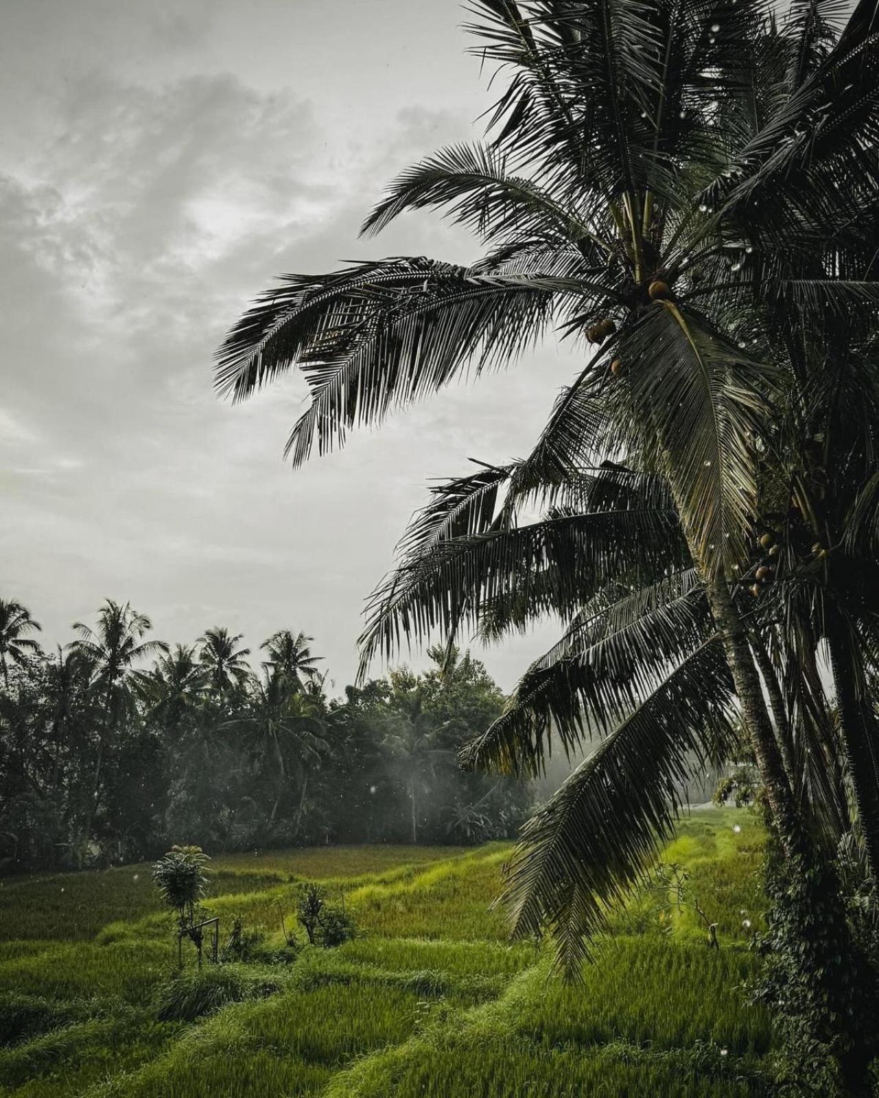Nirwa Ubud Karma Eksteriør billede